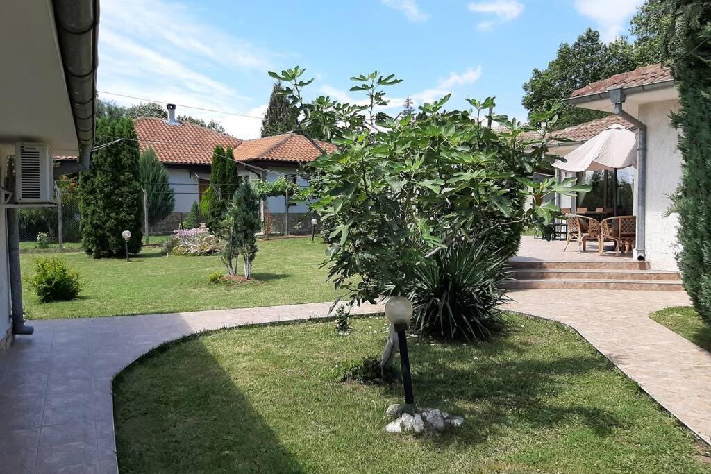 Guesthouse Oasis-Shabla Bagian luar foto