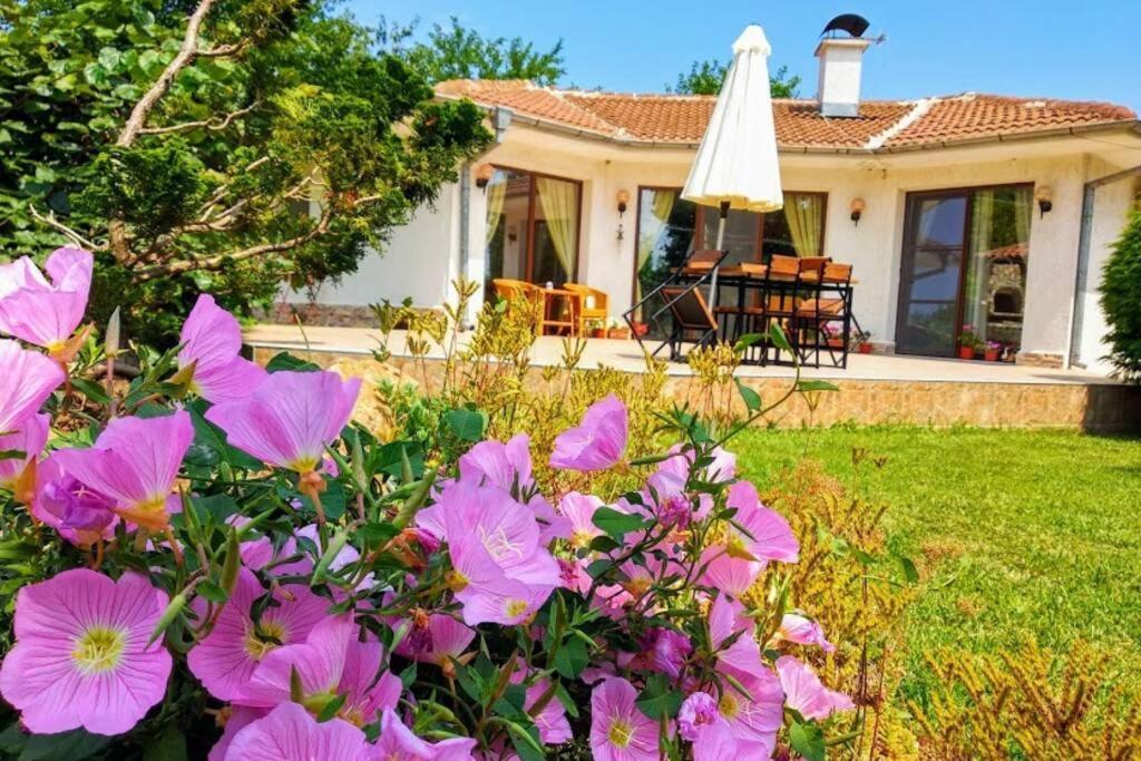 Guesthouse Oasis-Shabla Bagian luar foto