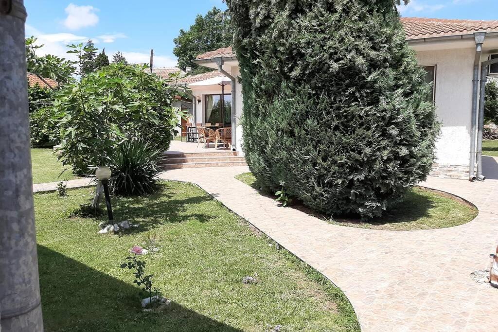 Guesthouse Oasis-Shabla Bagian luar foto