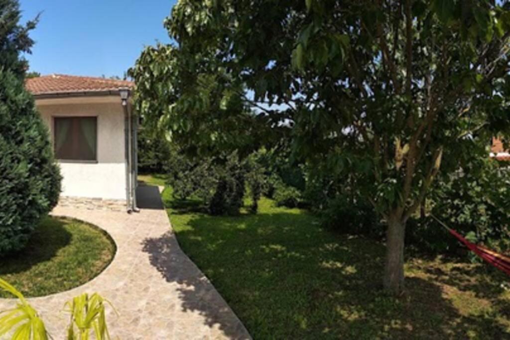 Guesthouse Oasis-Shabla Bagian luar foto