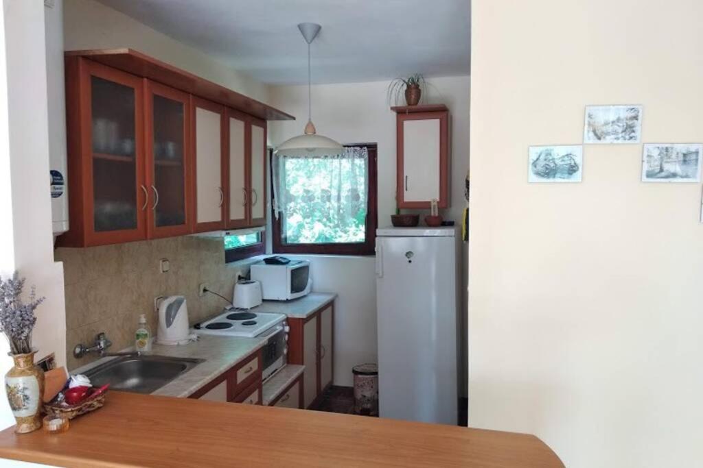 Guesthouse Oasis-Shabla Bagian luar foto
